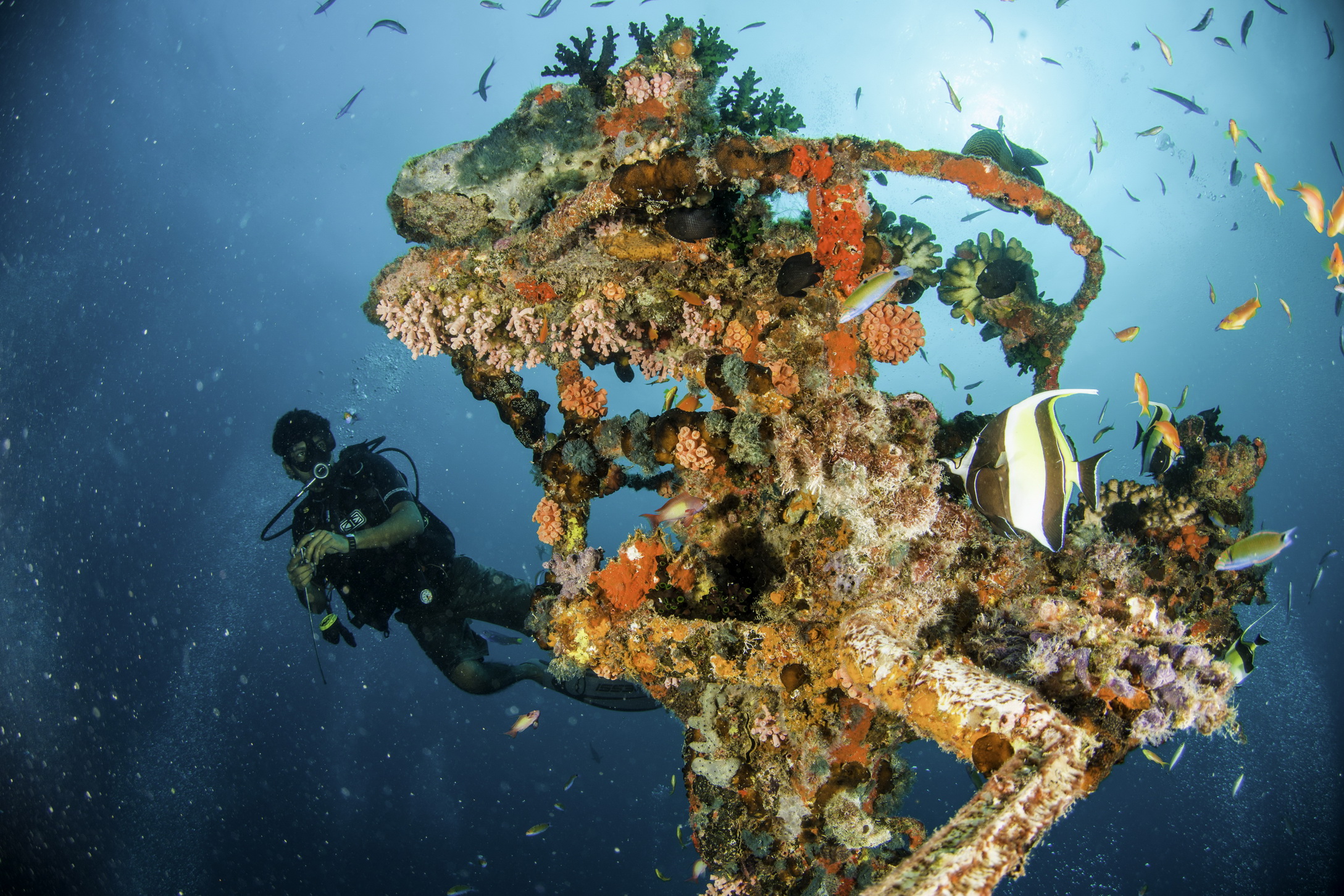 Consistently Awarded, Beyond Compare: The House Reef at Machchafushi Island Resort and Spa, The Centara Collection