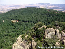 Tunisie : une zone touristique écologique et un complexe de santé à Jendouba