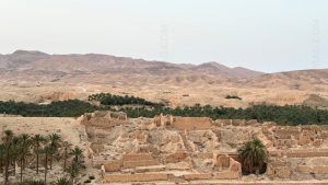 Aïn Karma Tamerza : l’oasis née de la persévérance