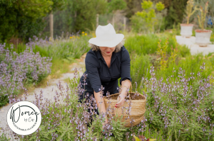 « Women Sustainable Alliance » : Les Femmes Entrepreneurs se Mobilisent pour un Avenir plus Vert