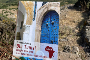 BLU TUNISI : Un Voyage Envoûtant dans la Ville et ses Cinq Villages Historiques
