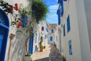 Sidi Bou Saïd, futur trésor mondial : pourquoi son classement à l’UNESCO est une évidence ?