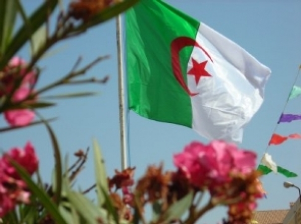  Tunisie : l’antenne de l’ONTT à Alger s’active sur tous les fronts 