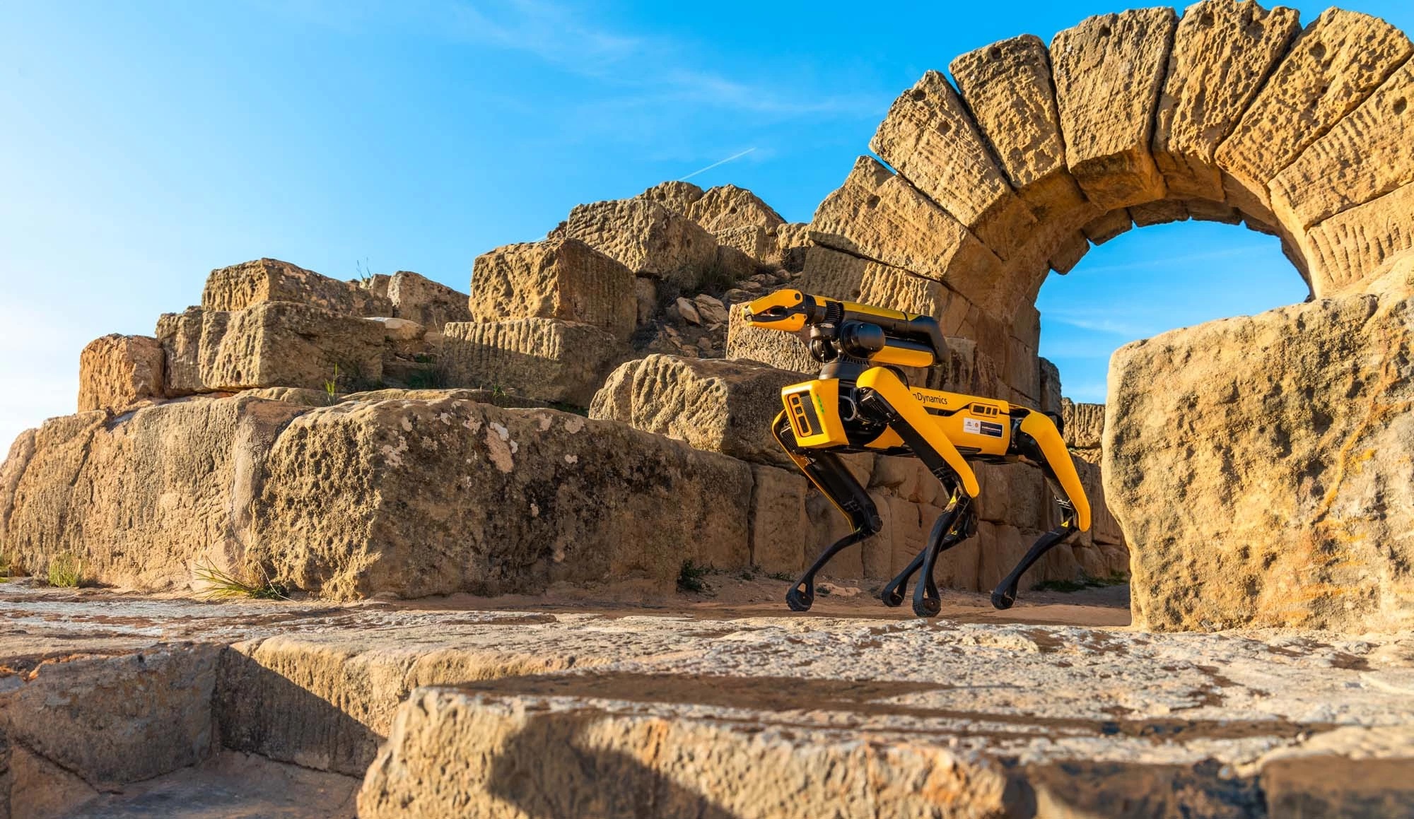 Spot, le robot étonnant de Hyundai développé par Boston Dynamics, a fait son entrée remarquée en Tunisie