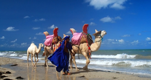  Tunisie-tourisme: des signes de reprise encourageants 