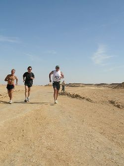 «Marathon des oasis» en Tunisie : 500 participants en provenance de huit pays immergés dans la splendeur du désert