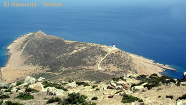 Tunisie : pleins feux sur le méga projet touristique à El Haouaria