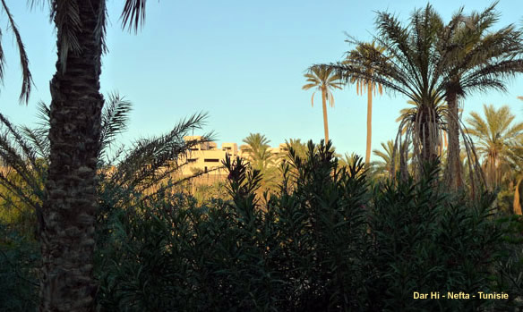 « Dar Hi » : un hôtel Bio dans le sud de la Tunisie