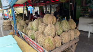 Durian King of Fruits
