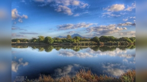 Reflects - Landscape - Skander Chihi 