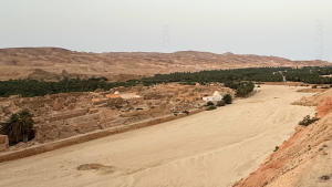 Tamerza - Village Berbere 